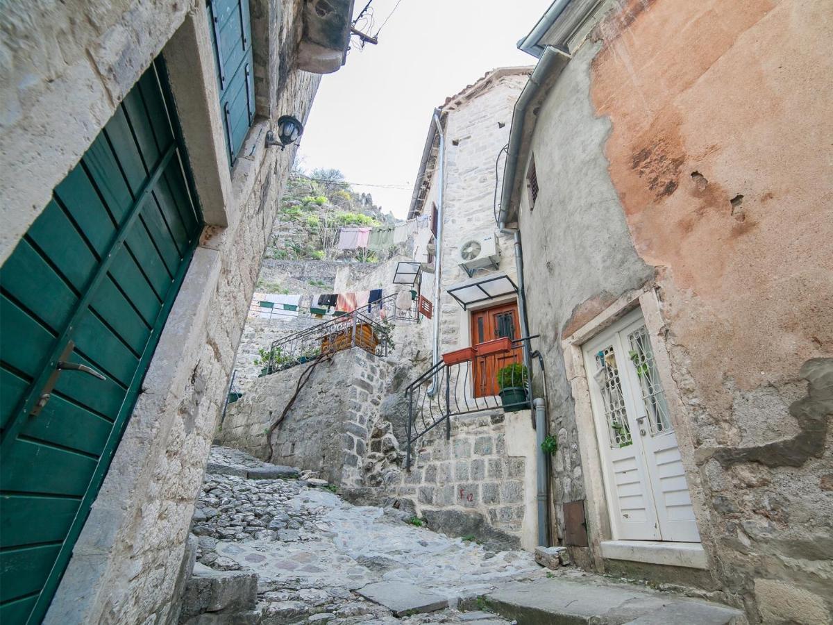 Apartment Alexandra Kotor Exterior photo